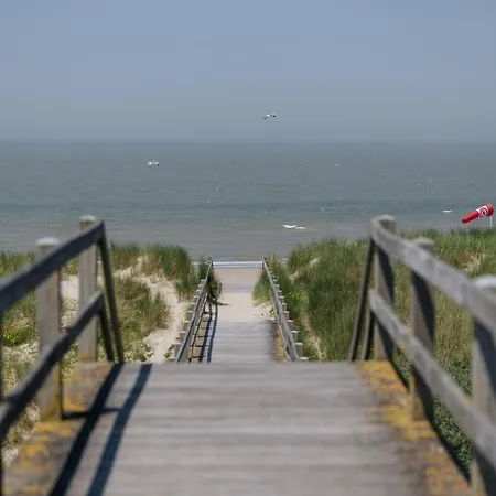 Bright Near The Sea *