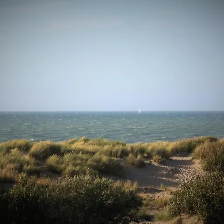 Bright Near The Sea 公寓 *