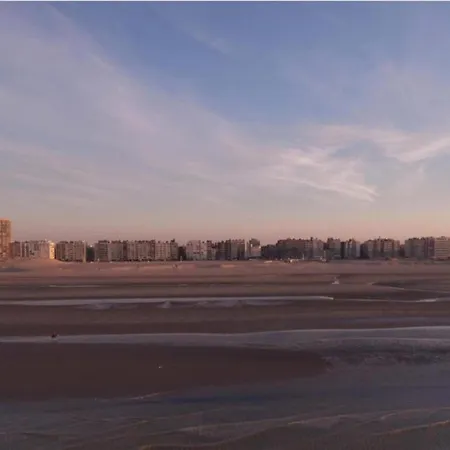 Bright Near The Sea * 德哈恩