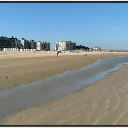 Bright Near The Sea *