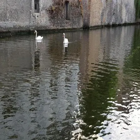 Bright Near The Sea De Haan